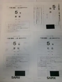 2026年最新】sapix 入室テストの人気アイテム - メルカリ