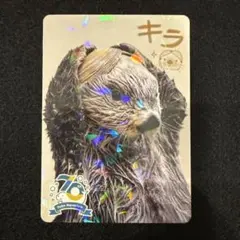 2026年最新】鳥羽水族館コレクションカードの人気アイテム - メルカリ