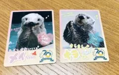 2026年最新】鳥羽水族館コレクションカードの人気アイテム - メルカリ