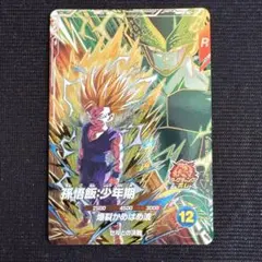 2026年最新】孫悟空 少年期 ダイバーズの人気アイテム - メルカリ