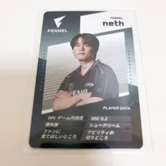 2026年最新】FENNEL valorantの人気アイテム - メルカリ