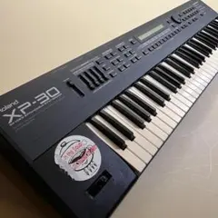 2026年最新】XP-30 ROLANDの人気アイテム - メルカリ