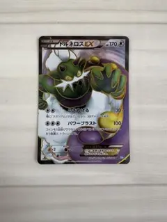 2026年最新】ポケモンカード トルネロスの人気アイテム - メルカリ