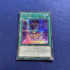 2026年最新】師弟の絆 20thの人気アイテム - メルカリ