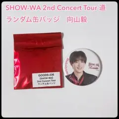 2026年最新】向山 毅の人気アイテム - メルカリ