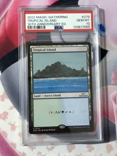 2026年最新】tropical island mtgの人気アイテム - メルカリ