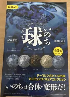 2026年最新】いのちめぐる冒険の人気アイテム - メルカリ