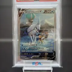 2026年最新】はくばバドレックスV psa10の人気アイテム - メルカリ