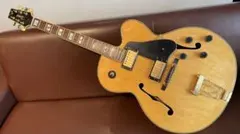 2026年最新】vantage ギターの人気アイテム - メルカリ