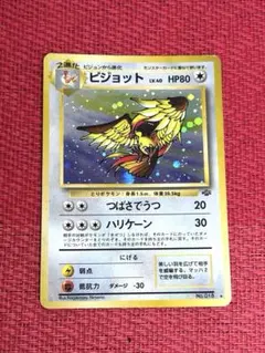 2026年最新】大玉ホロの人気アイテム - メルカリ