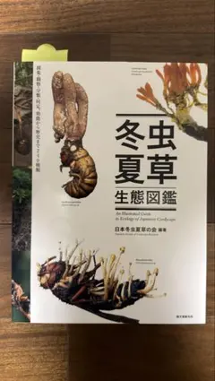 2026年最新】冬虫夏草生態図鑑の人気アイテム - メルカリ