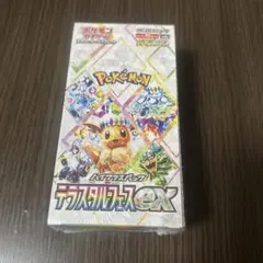 2026年最新】テラスタルフェス シュリンク付きの人気アイテム - メルカリ