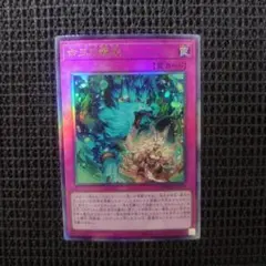 2026年最新】命王の螺旋の人気アイテム - メルカリ