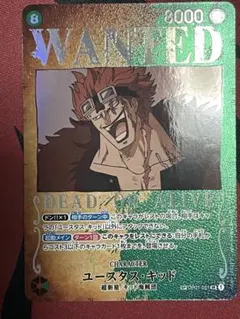 2026年最新】キッド スペシャルカード 手配書 強大な敵の人気アイテム