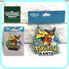 ポケパークカントー限定ピンズ ゼニガメ ヒトカゲ セット - メルカリ