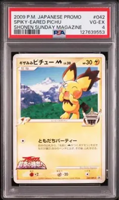 2026年最新】ギザみみピチューm 青山の人気アイテム - メルカリ