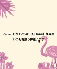 2026年最新】プロフ必読様専用の人気アイテム - メルカリ