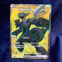 2026年最新】ゼクロム ex srの人気アイテム - メルカリ