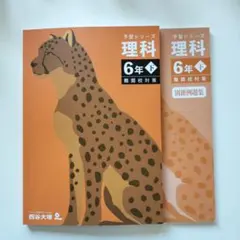 2026年最新】四谷大塚予習シリーズ理科難関校対策の人気アイテム