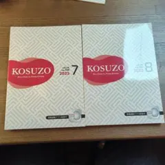 2026年最新】kosuzo 論文の人気アイテム - メルカリ