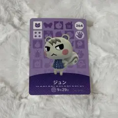 2026年最新】amiboジュンの人気アイテム - メルカリ