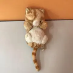 2026年最新】ファースト社 ぬいぐるみ ねこの人気アイテム - メルカリ