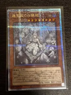 2026年最新】レディオブザラビュリンスの人気アイテム - メルカリ