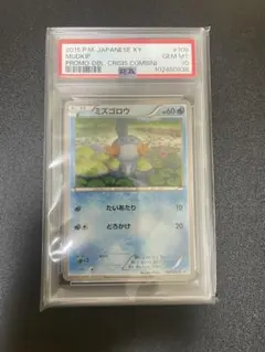 2026年最新】ミズゴロウ psa10の人気アイテム - メルカリ