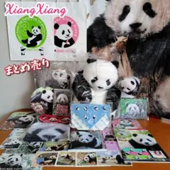 2026年最新】抱っこシャン シャンの人気アイテム - メルカリ