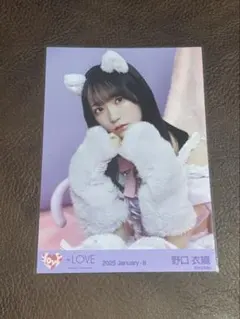 2026年最新】野口衣織 生写真 猫の人気アイテム - メルカリ