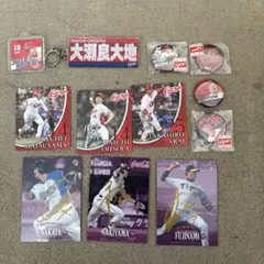 2026年最新】松山竜平 サインの人気アイテム - メルカリ