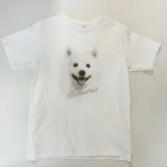 2026年最新】ゴースカ8の人気アイテム - メルカリ