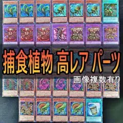 2026年最新】ドロリス srの人気アイテム - メルカリ