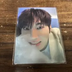 2026年最新】SEVENTEEN ウォヌ セルカの人気アイテム - メルカリ