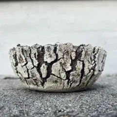 細川政己 y鉢 検) RAW LIFE FACTORY - メルカリ