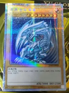 2026年最新】青眼 韓国の人気アイテム - メルカリ