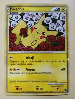 2026年最新】ポーランド ピカチュウの人気アイテム - メルカリ