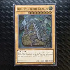 2026年最新】青眼の白龍 英語 レリーフの人気アイテム - メルカリ