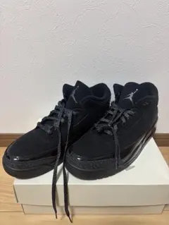 2026年最新】Jordan 3 black catの人気アイテム - メルカリ