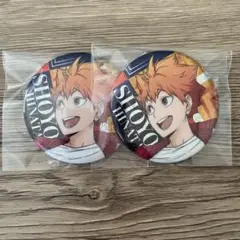 2026年最新】日向翔陽 バースデイ缶バッジの人気アイテム - メルカリ