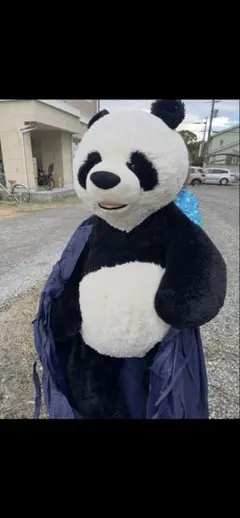 2026年最新】コストコ パンダ ぬいぐるみの人気アイテム - メルカリ