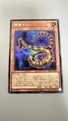 2026年最新】プレミアムパックの人気アイテム - メルカリ