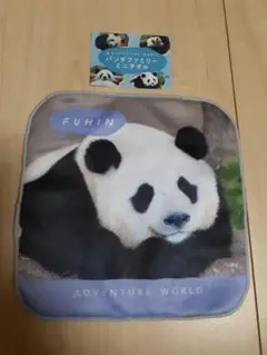 2026年最新】アドベンチャーワールド パンダ タオルの人気アイテム