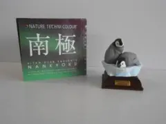 2026年最新】ネイチャーテクニカラー 南極の人気アイテム - メルカリ