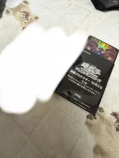 2026年最新】遊戯王 スリーブ スカーレッドノヴァドラゴンの人気