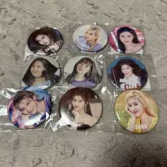 2026年最新】TWICE サナ 缶バッチ bigの人気アイテム - メルカリ