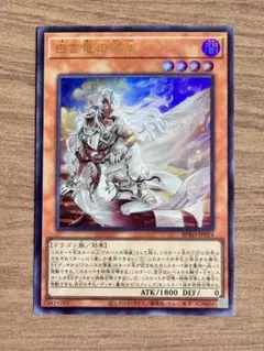 2026年最新】白き竜の落胤の人気アイテム - メルカリ