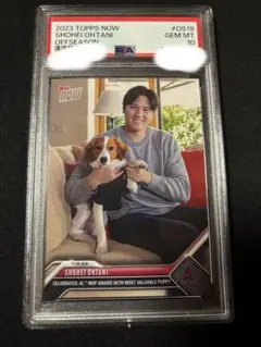 2026年最新】大谷翔平 デコピン psa10の人気アイテム - メルカリ