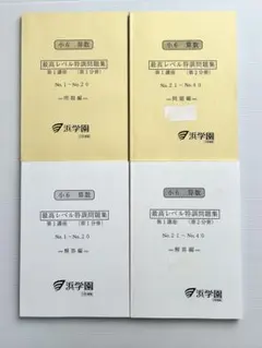 2026年最新】浜学園 小6 最高レベル特訓 テキストの人気アイテム