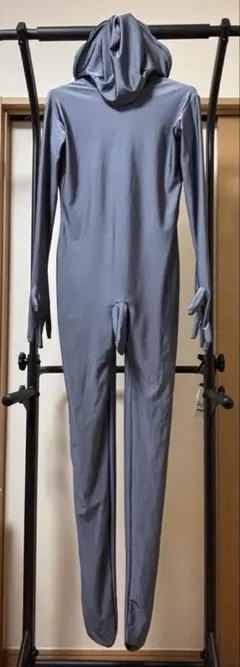 2026年最新】ゼンタイ pケースの人気アイテム - メルカリ